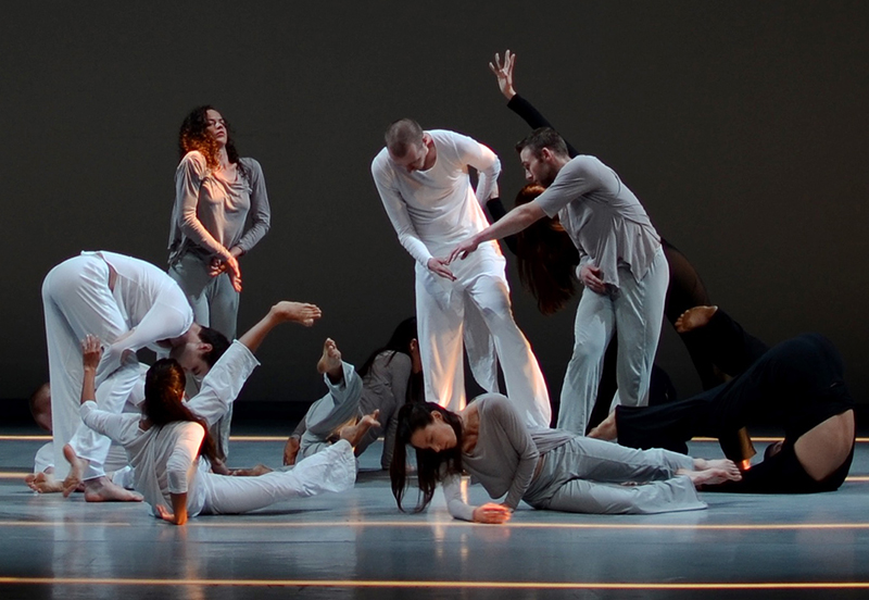 Shen Wei Dance Arts Meany Center